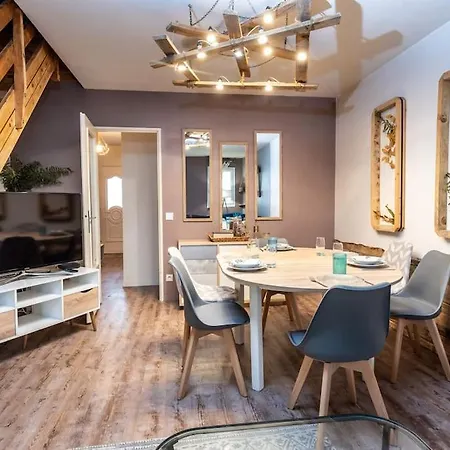 Duplex Cosy Et Contemporain Avec Parking Prive *